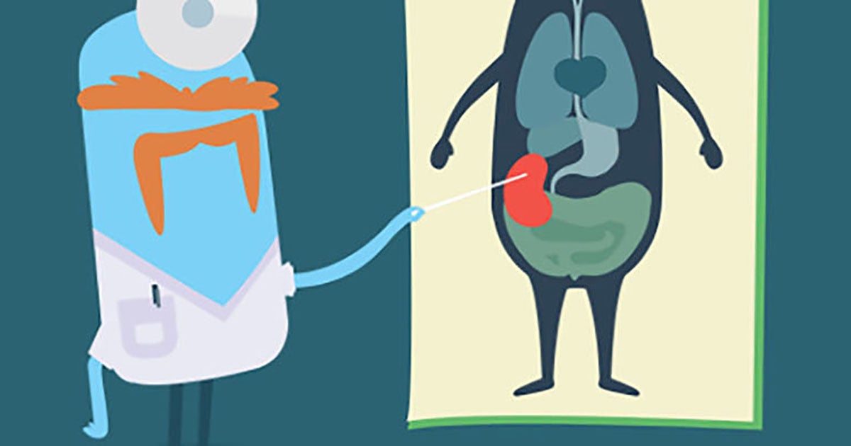 singular kidney singular kidney